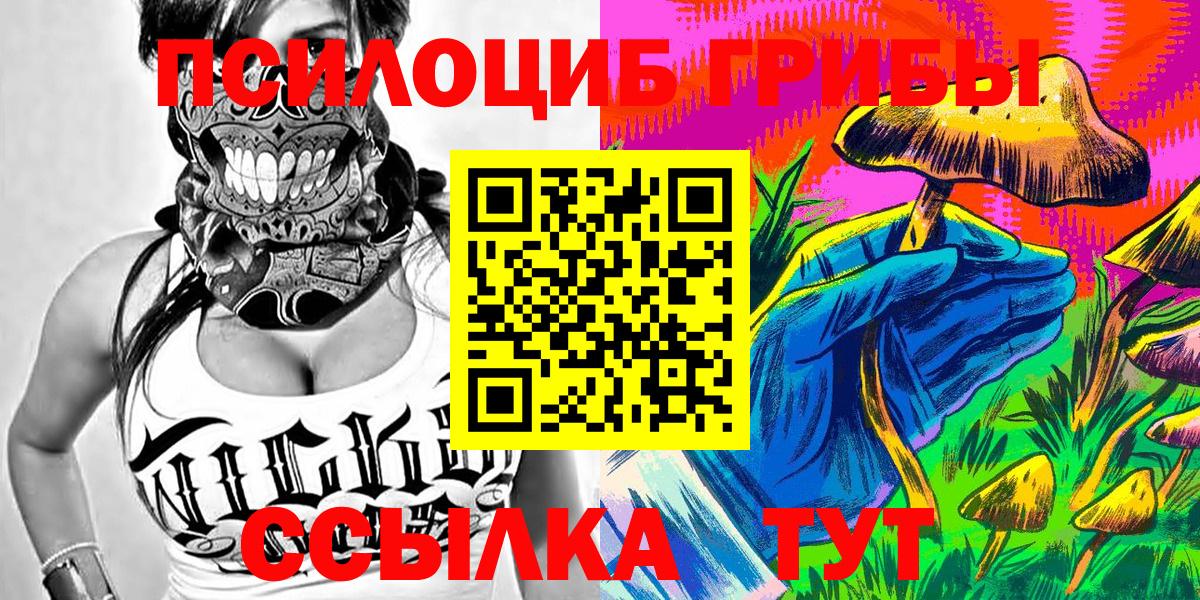 Галлюциногенные грибы Psilocybine cubensis Севастополь